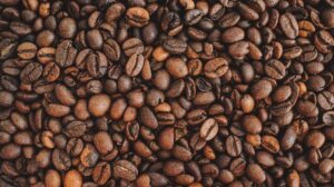 o que é café arábica e robusta