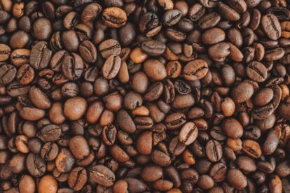 o que é café arábica e robusta